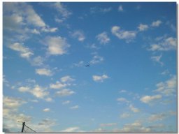 Fliegen am 11. Juli 2012